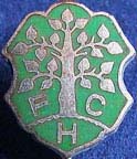 1-Bundesliga/Homburg-Saar-FC1908-1.jpg