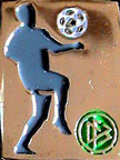 DFB-Andere/DFB-Leistungspin-1b-Gold.jpg