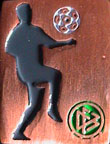 DFB-Andere/DFB-Leistungspin-1f-Kupfer.jpg