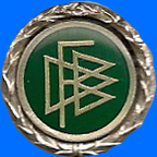 DFB-Logos/DFB-Nadel-3d.jpg