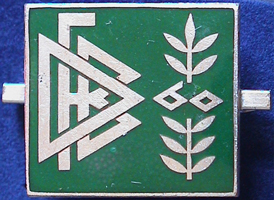 DFB-Logos/DFB-Nadel-6b-60J-sm.jpg