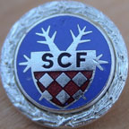 UFOs-1901-2000/1973-SCF.jpg