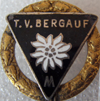 UFOs-2201-2300/2291-TV-Bergauf-M.jpg