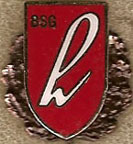 UFOs-2701-2800/2710-BSG-h-pw-L.jpg