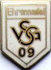 UFOs-3101-3200/3118-VSG09-Ehrennadel.jpg