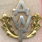 UFOs-3601-3700/3699-AWF.jpg
