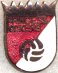UFOs-3701-3800/3771-Princess-Kickers.jpg