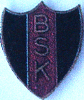 UFOs-3801-3900/3881-BSK.jpg